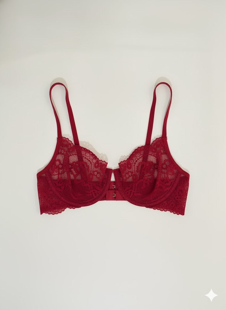 Ultra-Thin Embroidery Lace Set with Transparent Bra Push-Up Feature Bikini